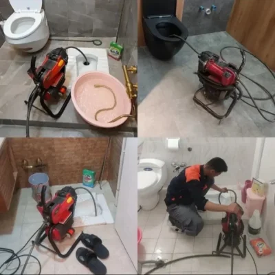 متخصص