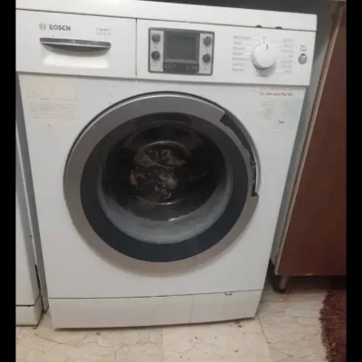 متخصص