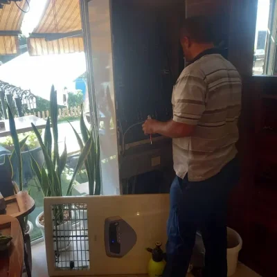 متخصص